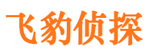 海口市调查公司